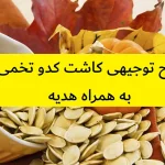 طرح توجیهی کاشت کدو تخمی
