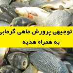 طرح توجیهی پرورش ماهی گرمابی