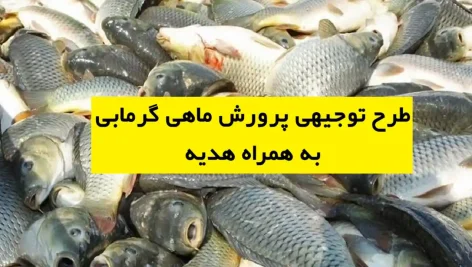 طرح توجیهی پرورش ماهی گرمابی