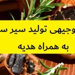 طرح توجیهی تولید سیر سیاه