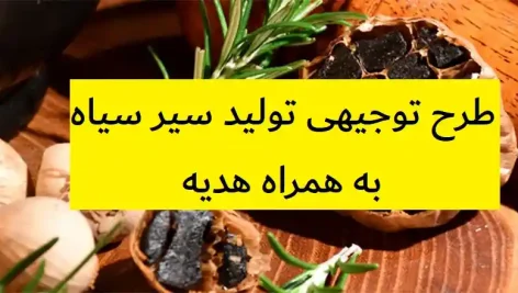طرح توجیهی تولید سیر سیاه