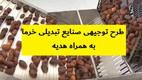 طرح توجیهی صنایع تبدیلی خرما