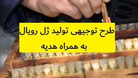 طرح توجیهی تولید ژل رویال