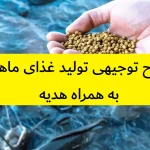 طرح توجیهی تولید غذای ماهی