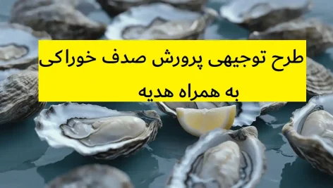 طرح توجیهی پرورش صدف خوراکی