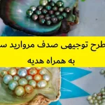 طرح توجیهی صدف مروارید ساز