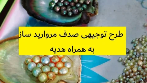 طرح توجیهی صدف مروارید ساز