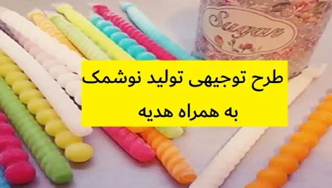 طرح توجیهی تولید نوشمک