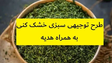 طرح توجیهی سبزی خشک کنی
