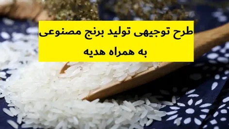 طرح توجیهی تولید برنج مصنوعی