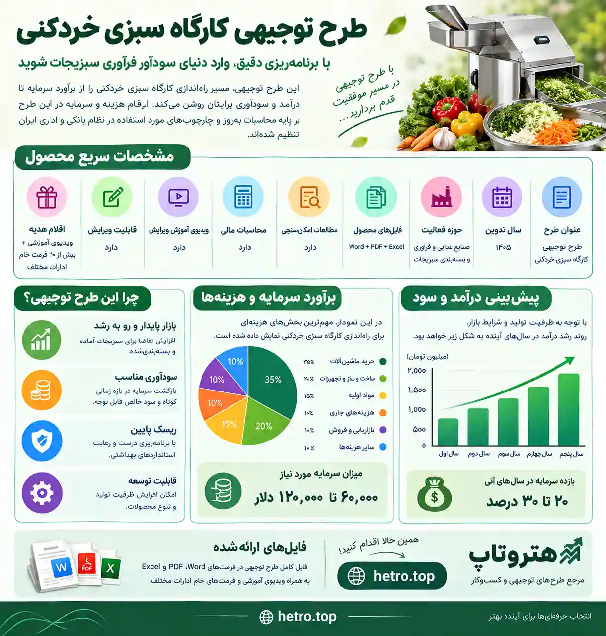 اینفوگرافیک طرح توجیهی کارگاه سبزی خردکنی