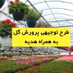 طرح توجیهی پرورش گل
