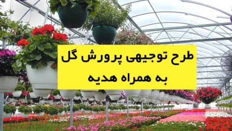 طرح توجیهی پرورش گل