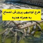 طرح توجیهی پرورش تمساح