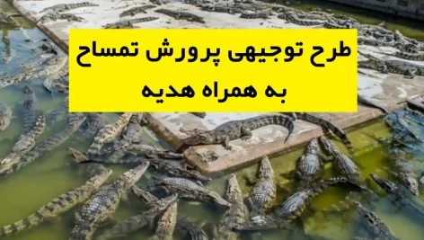 طرح توجیهی پرورش تمساح