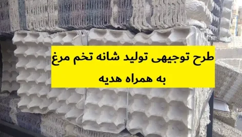 طرح توجیهی تولید شانه تخم مرغ