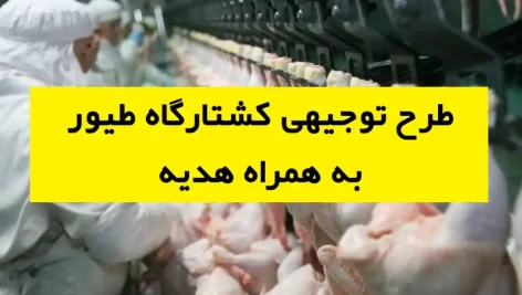 طرح توجیهی کشتارگاه طیور