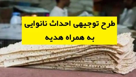 طرح توجیهی احداث نانوایی