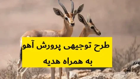 طرح توجیهی پرورش آهو