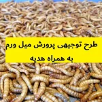 طرح توجیهی پرورش میل ورم