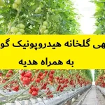 طرح توجیهی گلخانه هیدروپونیک گوجه فرنگی
