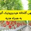 طرح توجیهی گلخانه هیدروپونیک گوجه فرنگی