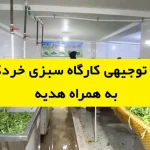 طرح توجیهی کارگاه سبزی خردکنی