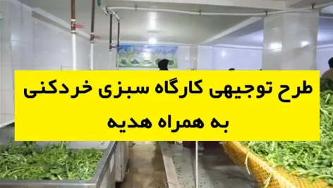 طرح توجیهی کارگاه سبزی خردکنی