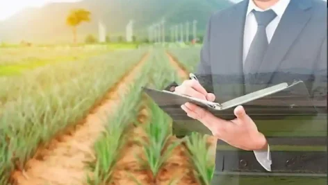 نوشتن طرح توجیهی کشاورزی | اصول ، استاندارد و مراحل نگارش